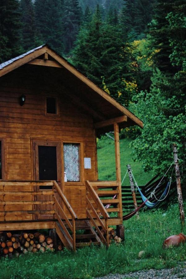 Mountain Cabins Mestia Eksteriør bilde