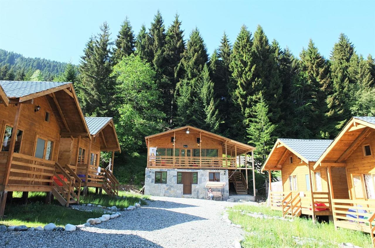 Mountain Cabins Mestia Eksteriør bilde